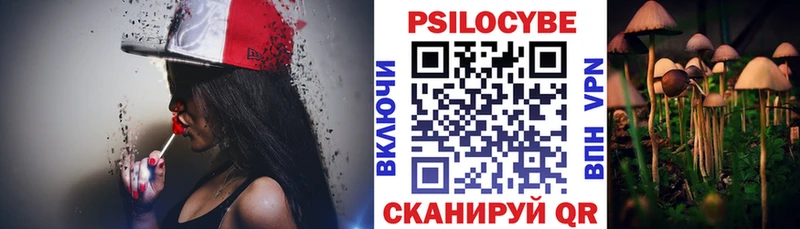 где можно купить наркотик Карабулак Галлюциногенные грибы мицелий